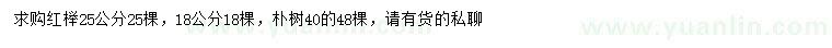 求购18、25公分红榉、40公分朴树