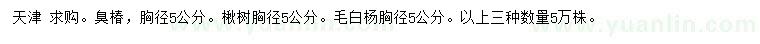 求购臭椿、楸树、毛白杨