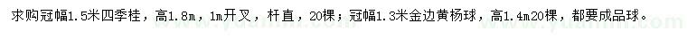 求购冠幅1.5米四季桂、冠幅1.3米金边黄杨球