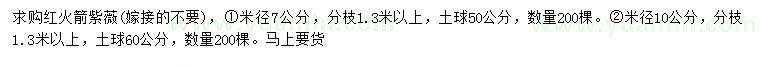 求购米径7、10公分红火箭紫薇