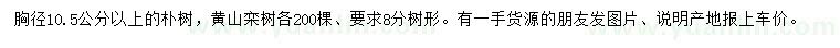 求购胸径10.5公分以上朴树、黄山栾树