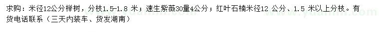 求购榉树、速生紫薇、红叶石楠