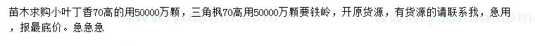 求购高70公分小叶丁香、三角枫