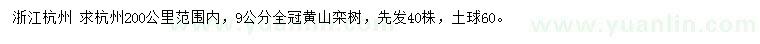 求购9公分全冠黄山栾树