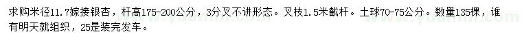 求购米径11.7公分嫁接银杏