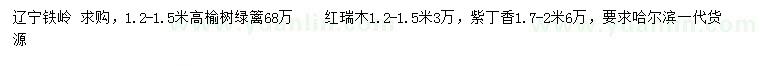 求购榆树、红瑞木、紫丁香