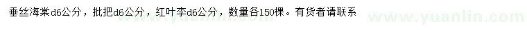 求购垂丝海棠、红叶李、红叶李