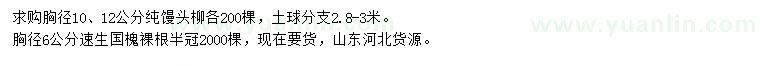 求购胸径10、12公分纯馒头柳、胸径6公分速生国槐