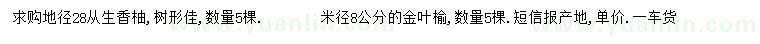 求购地径28公分从生香柚、米径8公分金叶榆