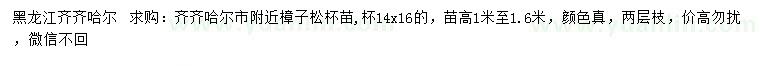 求购高1-1.6米樟子松