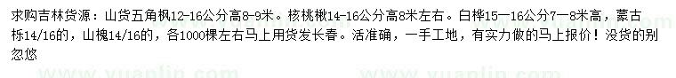 求购五角枫、核桃楸、白桦等