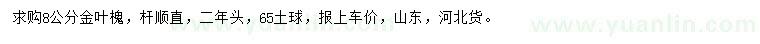 求购8公分金叶槐