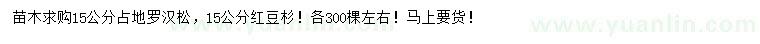 求购15公分占地罗汉松、15公分红豆杉