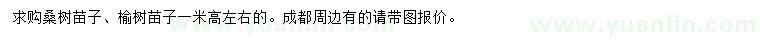 求购高1米左右桑树苗子、榆树苗子