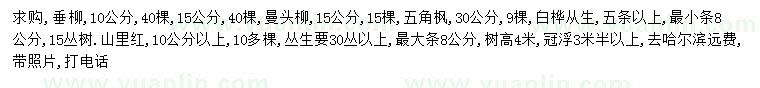 求购垂柳、曼头柳、五角枫等