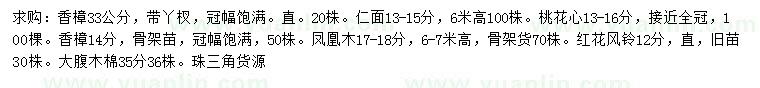 求购香樟、红花风铃、大腹木棉等