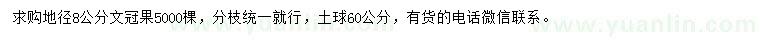 求购地径8公分文冠果
