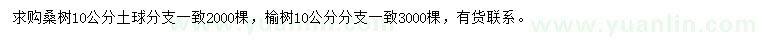 求购10公分桑树、榆树