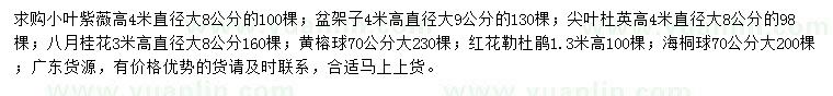 求购小叶紫薇、盆架子、尖叶杜英等