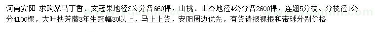 求购暴马丁香、文冠果、山桃等