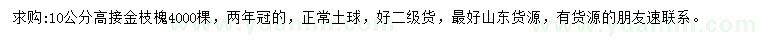 求购10公分高接金枝槐