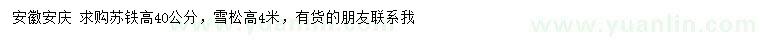 求购高40公分苏铁、4米雪松