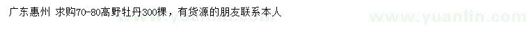 求购高70-80公分野牡丹