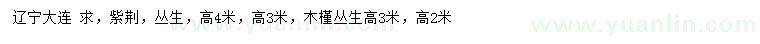 求购高3、4米丛生紫荆、2、3米丛生木槿