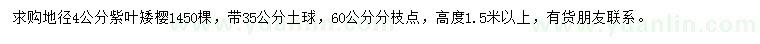 求购地径4公分紫叶矮樱