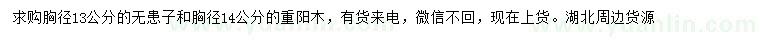 求购胸径13公分无患子、胸径14公分重阳木