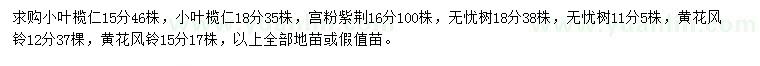 求购小叶榄仁、宫粉紫荆、无忧树等