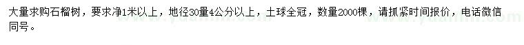 求购地径30量4公分以上石榴树