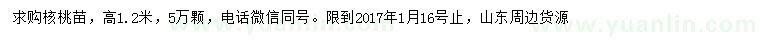 求购高1.2米核桃苗