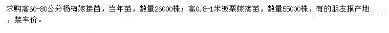 求购高60-80公分杨梅嫁接苗、高0.8-1米板栗嫁接苗