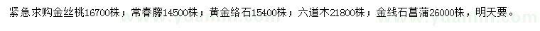 求购金丝桃、常春藤、黄金络石等