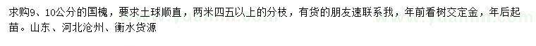 求购9、10公分国槐