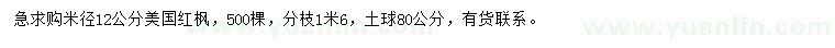 求购米径12公分美国红枫