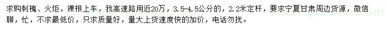 求购3.5-4.5公分刺槐、火炬