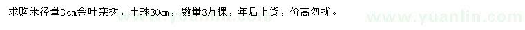 求购米径量3公分金叶栾树