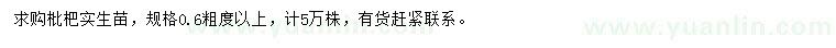 求购0.6公分以上枇杷实生苗