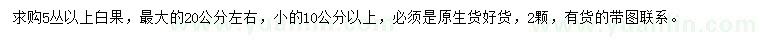 求购5丛以上白果