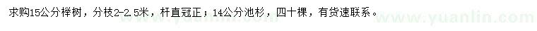 求购15公分榉树、14公分池杉