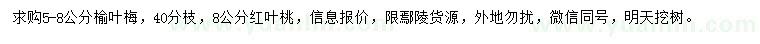 求购5-8公分榆叶梅、8公分红叶桃