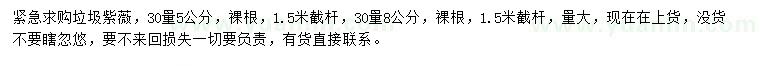 求购30量5、8公分紫薇 