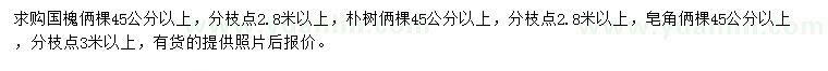 求购国槐、朴树、皂角