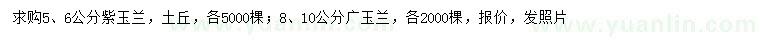 求购5、6公分紫玉兰、8、10公分广玉兰