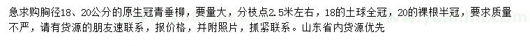 求购胸径18、20公分青垂柳