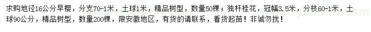 求购地径16公分早樱、冠幅3.5米独杆桂花