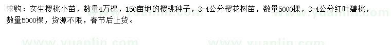 求购实生樱桃小苗、樱桃种子、樱花树苗等