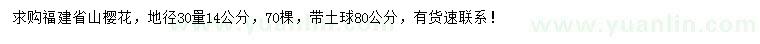 求购地径30量14公分福建省山樱花